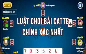 Luật chơi bài catte chính xác nhất cho người mới bắt đầu