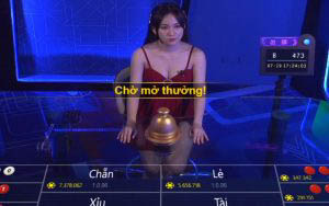 Đánh Đảo cửa